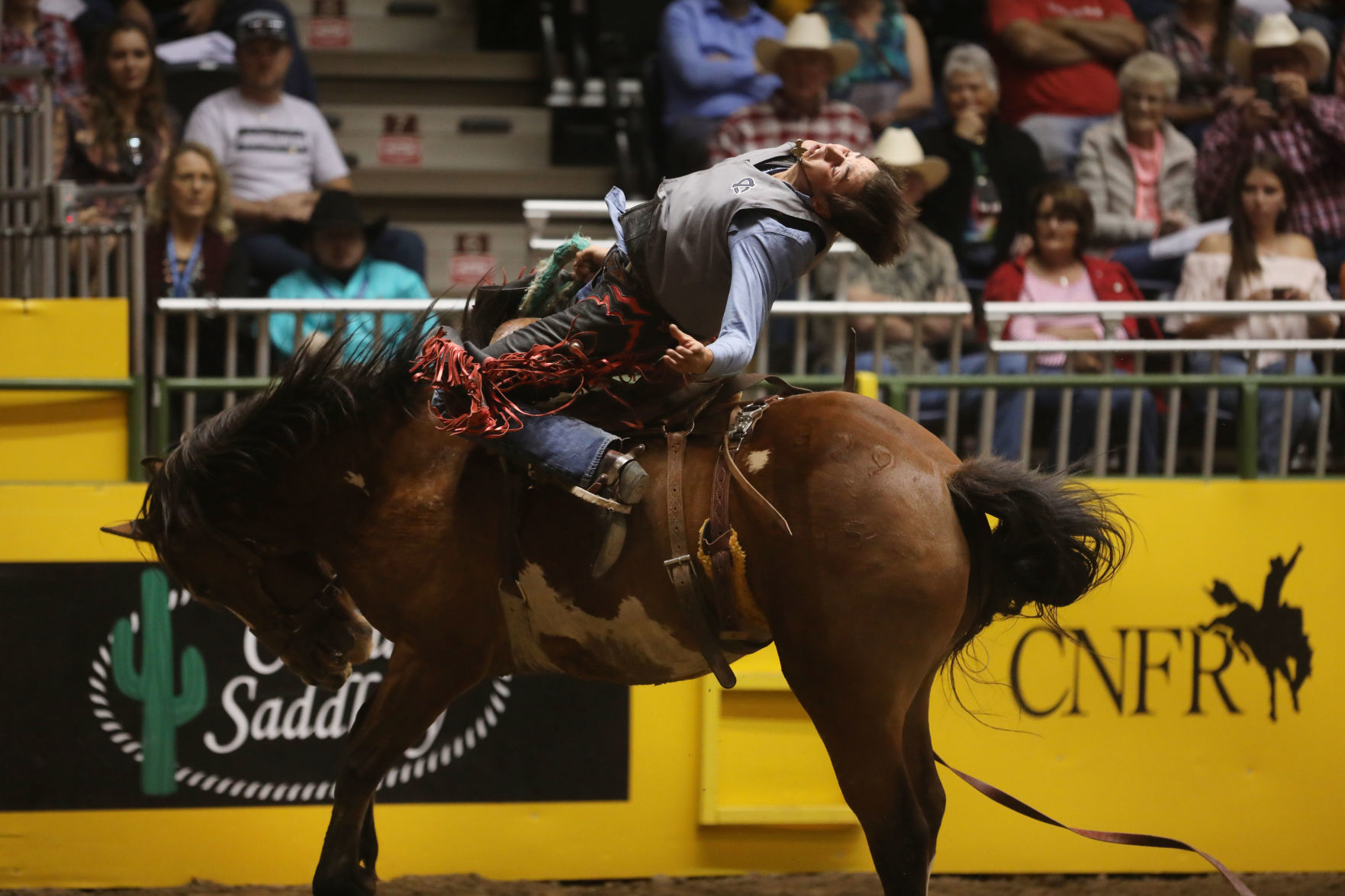 CNFR: Wednesday